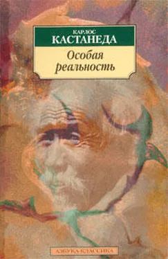 Карлос Кастанеда Особая реальность (перевод Останина и Пахомова) обложка книги