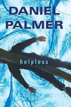 Daniel Palmer Helpless обложка книги