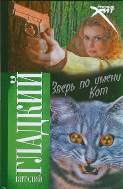 Виталий Гладкий Зверь по имени Кот обложка книги