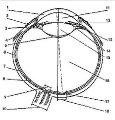 The United States Army Marksmanship Unit Training Manual
