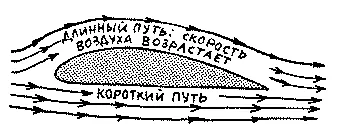 Когда крыло движется вперед часть воздуха обтекает его сверху а часть снизу - фото 9