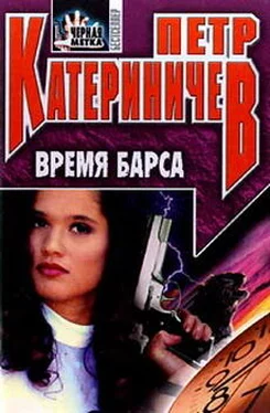 Петр Катериничев Время барса обложка книги