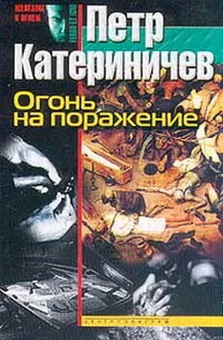 Петр Катериничев Огонь на поражение обложка книги