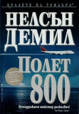 Нелсън Демил Полет 800 обложка книги