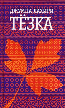 Джумпа Лахири Тезка обложка книги