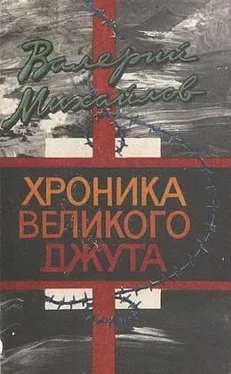 Валерий Михайлов Хроника великого джута обложка книги