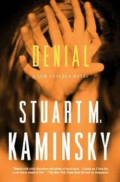 Stuart Kaminsky Denial обложка книги