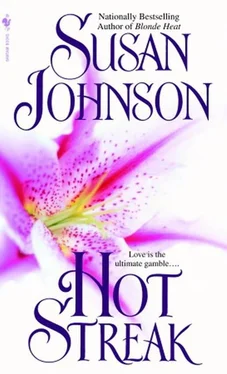 Susan Johnson Hot Streak обложка книги