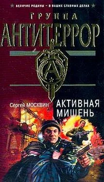 Сергей Москвин Активная мишень обложка книги