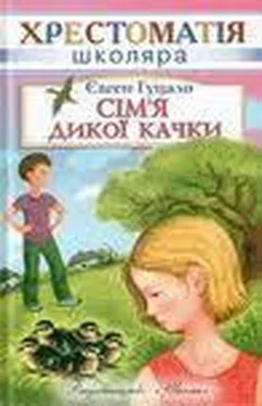 Євген Гуцало Сім’я дикої качки обложка книги