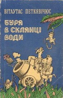 Вітаутас Петкявічус Буря в склянці води обложка книги