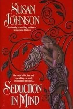 Susan Johnson Seduction in Mind обложка книги