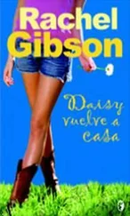 Rachel Gibson - Daisy Vuelve A Casa