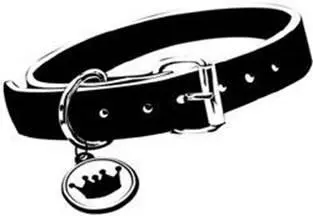 I beg your pardon For a tourniquet Frump says Out of the corner of my - фото 43