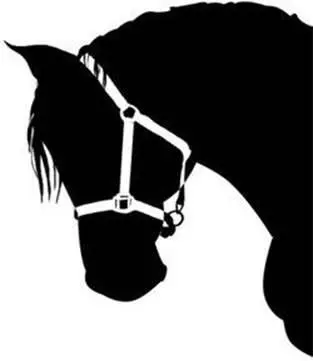 Horses dont get zits Socks I say gently Oh great So now Im a - фото 45