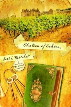 Siri Mitchell Chateau of Echoes обложка книги