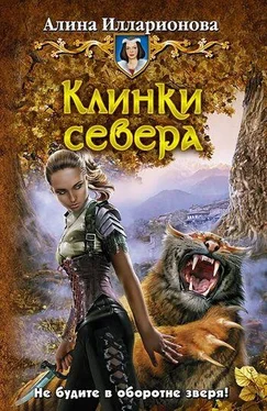 Алина Илларионова Клинки севера обложка книги