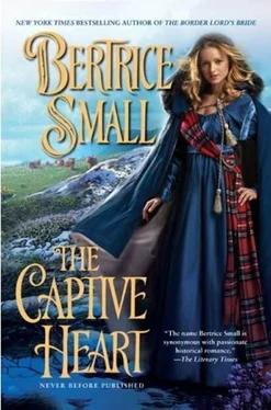 Bertrice Small The Captive Heart обложка книги