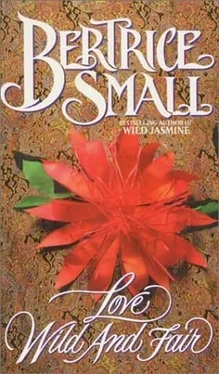 Bertrice Small Love Wild and Fair обложка книги