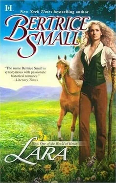 Bertrice Small Lara обложка книги