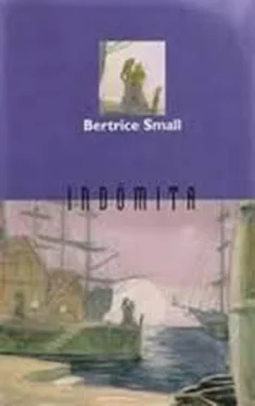 Bertrice Small Indómita обложка книги