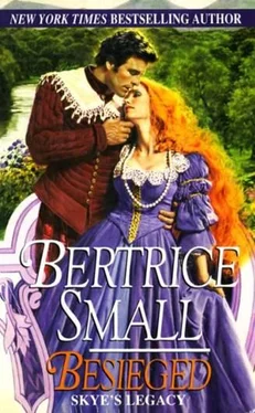 Bertrice Small Besieged обложка книги