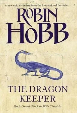 Robin Hobb The Dragon Keeper обложка книги