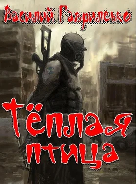 Василий Гавриленко Тёплая птица обложка книги