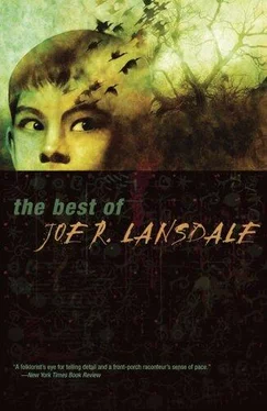 Joe Lansdale The Best of Joe R. Lansdale обложка книги