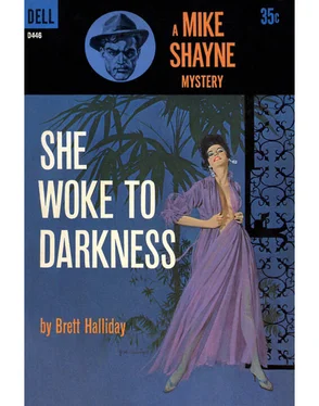 Brett Halliday She Woke to Darkness обложка книги