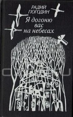 Радий Погодин Я догоню вас на небесах (сборник) обложка книги