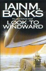 Iain Banks - Look to Windward