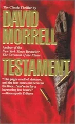 Дэвид Моррелл - Испытание