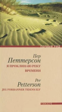 Пер Петтерсон Я проклинаю реку времени обложка книги