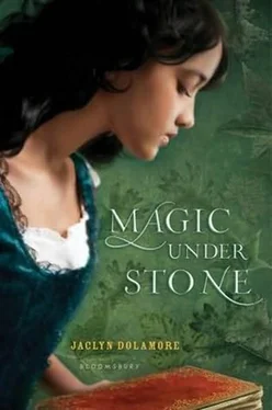 Jaclyn Dolamore Magic Under Stone обложка книги