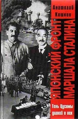 Анатолий Кошкин - Японский фронт маршала Сталина