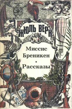 Жюль Верн Господин Ре-диез и госпожа Ми-бемоль обложка книги