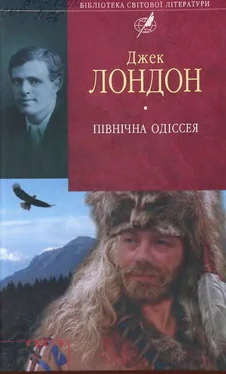 Джек Лондон Північна Одіссея обложка книги