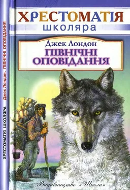 Джек Лондон Північні оповідання обложка книги