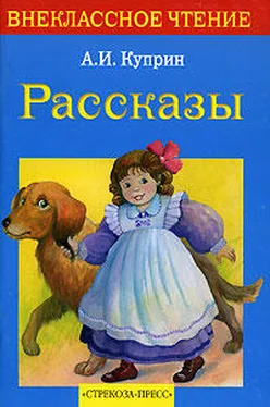 Александр Куприн Сапсан обложка книги