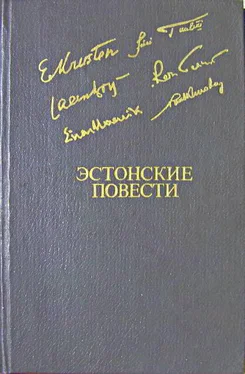 Эрни Крустен Эстонские повести обложка книги