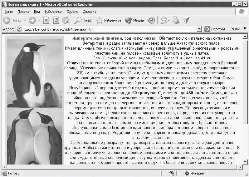 Рис 81 Описание императорских пингвинов Естественно не все найденные - фото 49