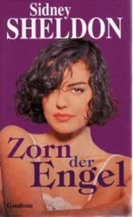 Sidney Sheldon - Zorn der Engel