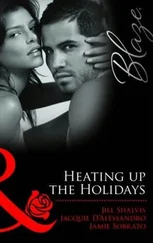 Jill Shalvis - Heating up the Holidays