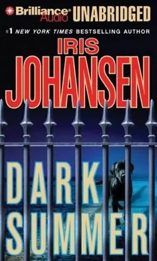 Iris Johansen Dark Summer обложка книги