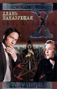 Крис Картер Длань наказующая. Файл №214 обложка книги