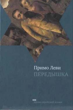 Примо Леви Передышка обложка книги