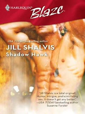 Jill Shalvis Shadow Hawk обложка книги