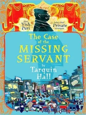 Tarquin Hall The Case of the Missing Servant обложка книги