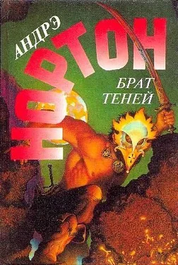 Андрэ Нортон Брат теней обложка книги